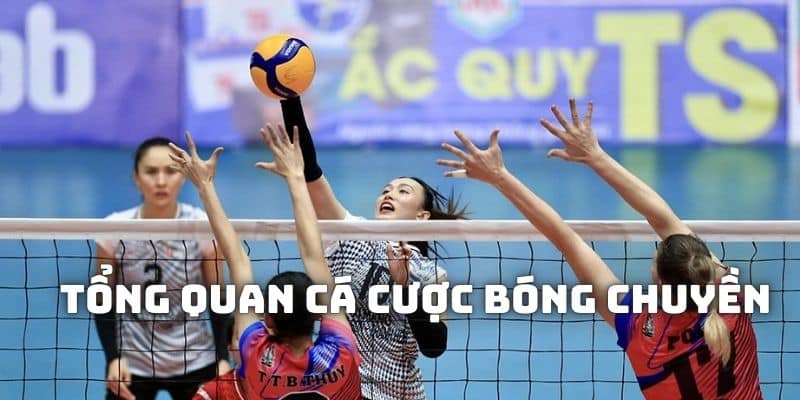 Giới thiệu về thể loại cá cược bóng chuyền tại QQ88