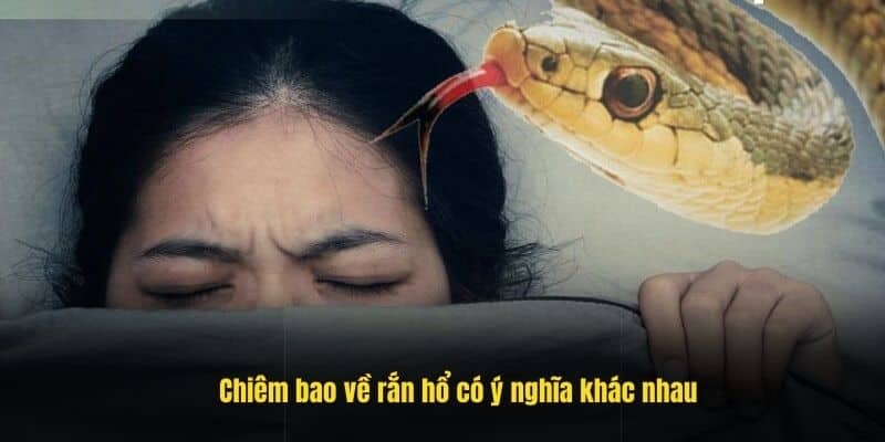 Chiêm bao về rắn hổ có ý nghĩa khác nhau